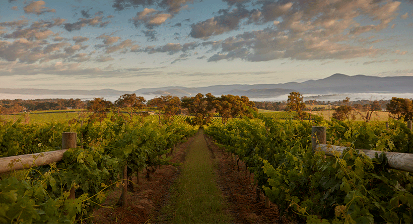 Yarra Yering